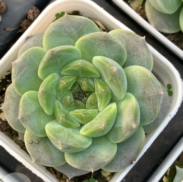 1730787647350 1730787647350